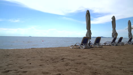palmeras y playa tropical en pattaya en tailandia