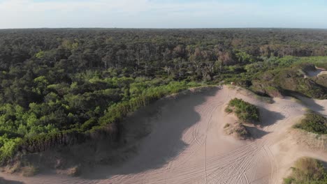 Aerial-reveals-where-sand-dunes-meet-dense-forest-on-Argentina-coast