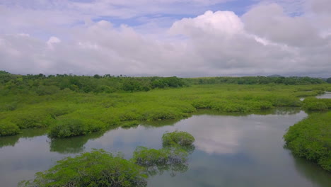 Hermoso-Paisaje-Del-Entorno-Natural