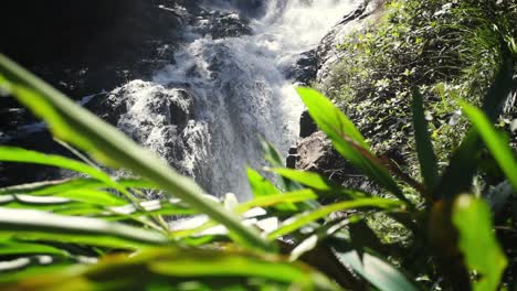 Cascading-waterfall-viewed-from-behind-green-foliage