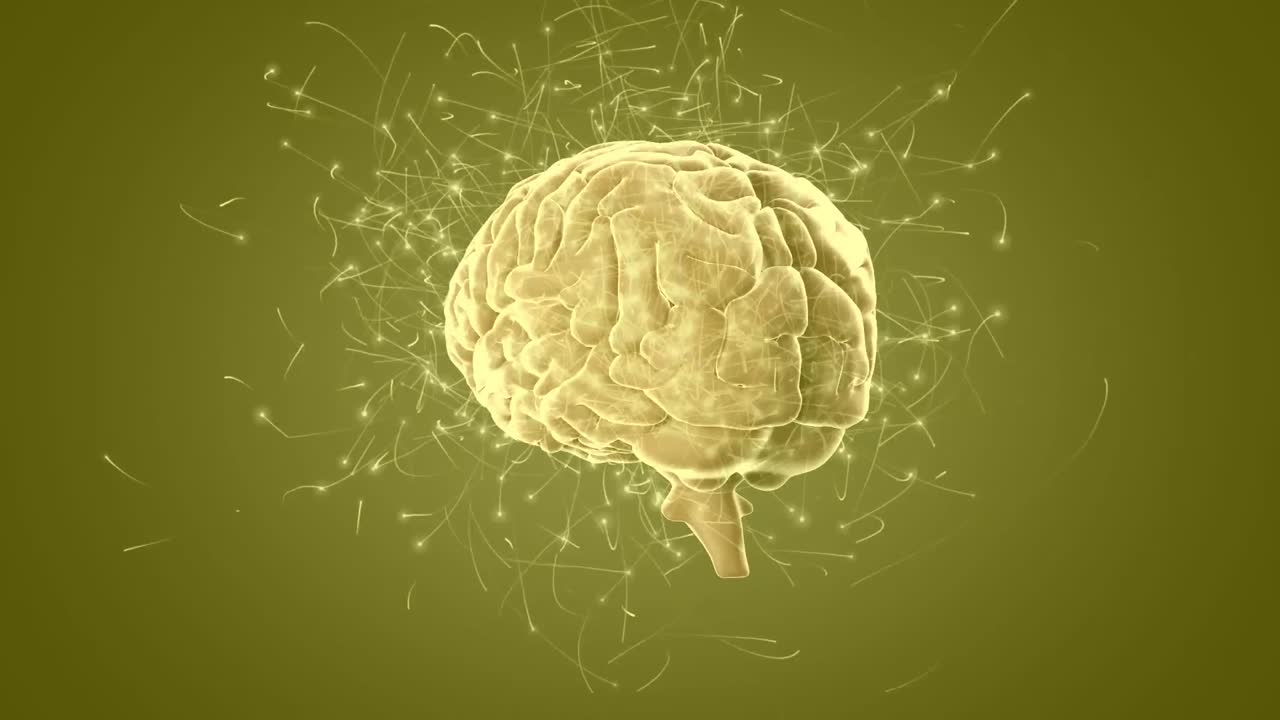 animación del cerebro girando sobre fondo verde animación de números contra fórmulas químicas