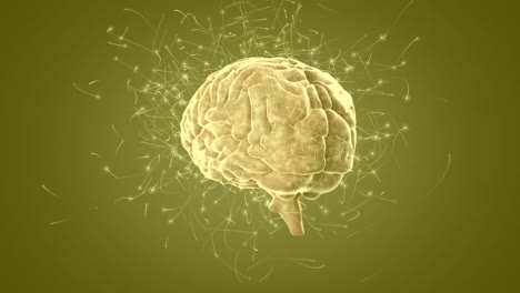 Animation-of-brain-rotating-over-green-background-animation-numbers-against-chemical-formulas