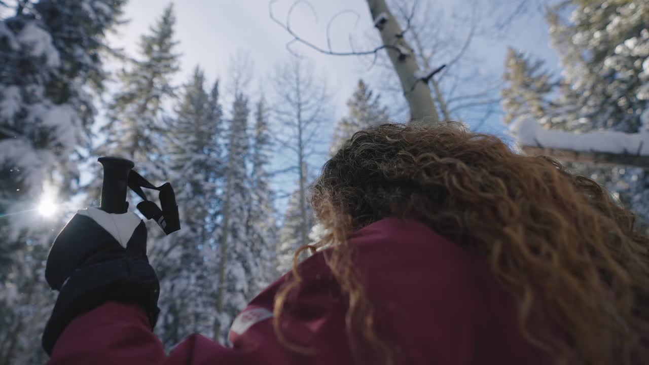 Gorgeous Woman Exploring a Winter Forest in the Snow