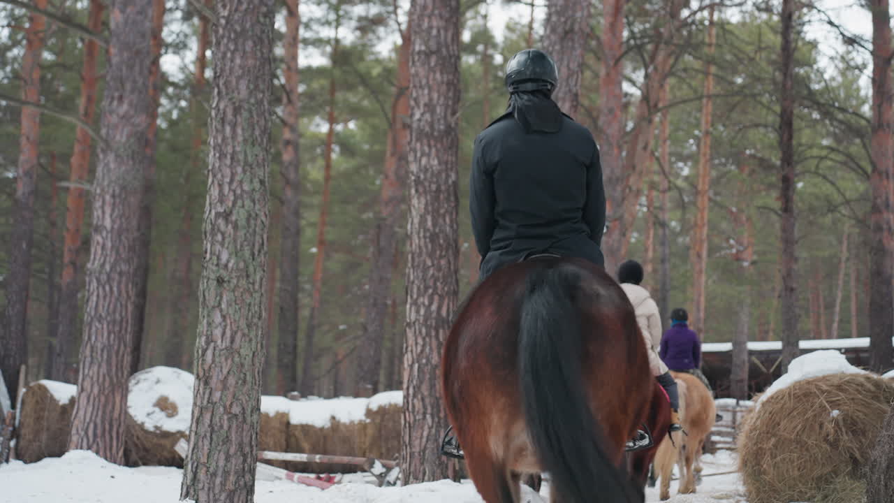 눈 덮인 길을 타는 한 쌍, 겨울 동안 눈 덮인 삼림 지대 길을 여행하는 두 사람, 말을 탄 남녀가 소박한 주변 환경과 함께 고요한 눈 덮인 풍경을 횡단해요.
