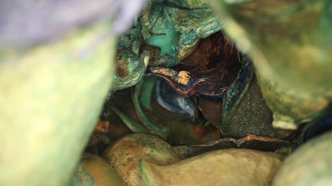 медленно выдвигает вазу с разноцветными кусочками попурри.