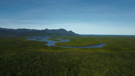 Rainforest-jungle-Seymour-River-at-Hinchinbrook-Island-National-Park,-Australia