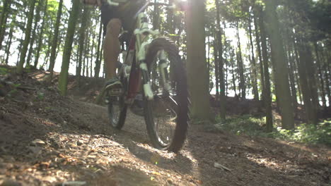 slow motion shot of man riding mountain bike through woods