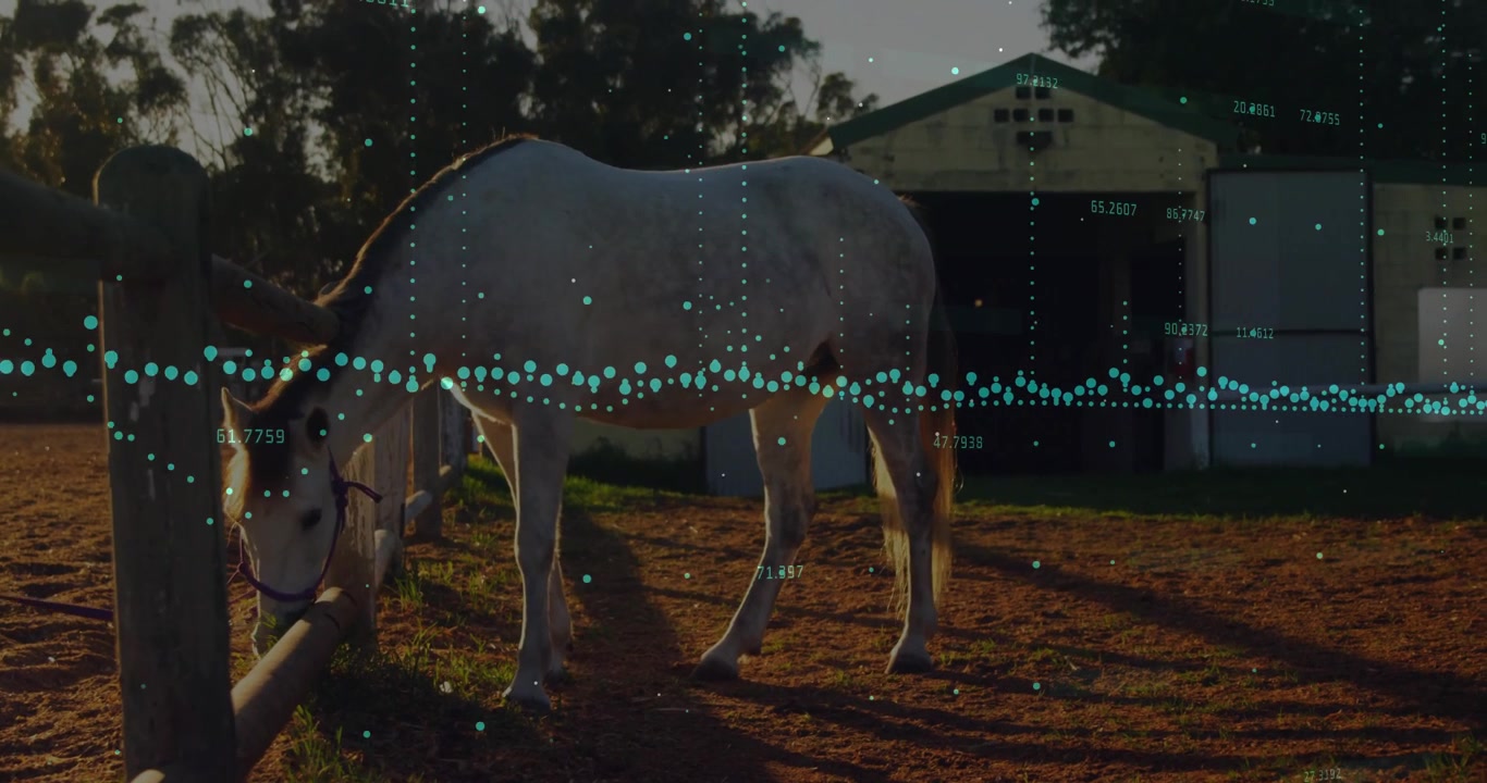 Sovrapposizione di dati verde acqua che emerge vicino a una recinzione, con un cavallo bianco che bruca l'erba e visualizza i dati di pascolo