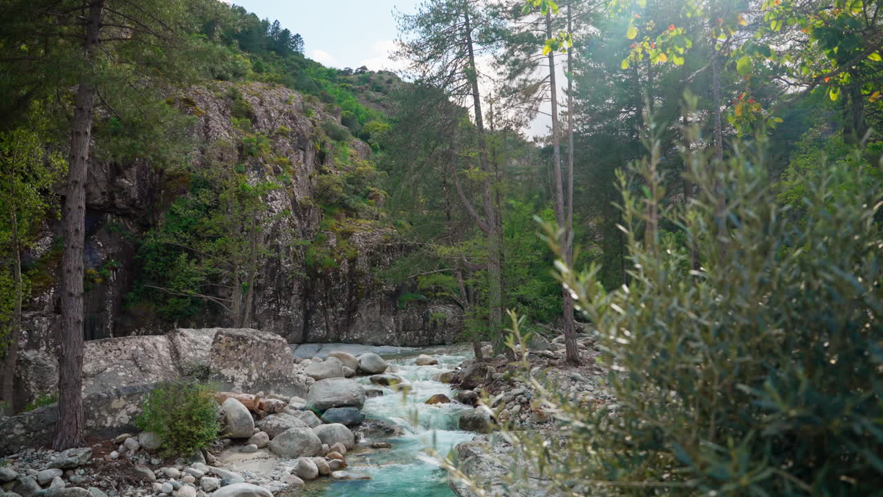 sungai kecil yang mengalir di hutan yang ditutupi dengan batu kapur putih