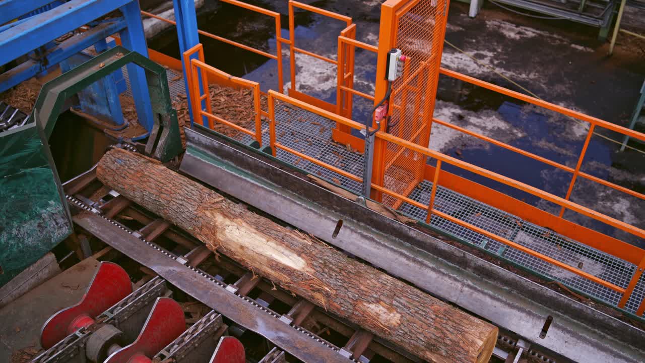 Sawmill factory. Wood processing plant. Top view on a tree trunk on power-saw bench outdoors.