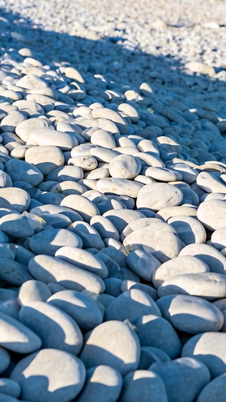 Video verticale: Telecamera che si sposta da pietre ravvicinate su una spiaggia di ciottoli, inclinando in avanti e mostrando una conchiglia.