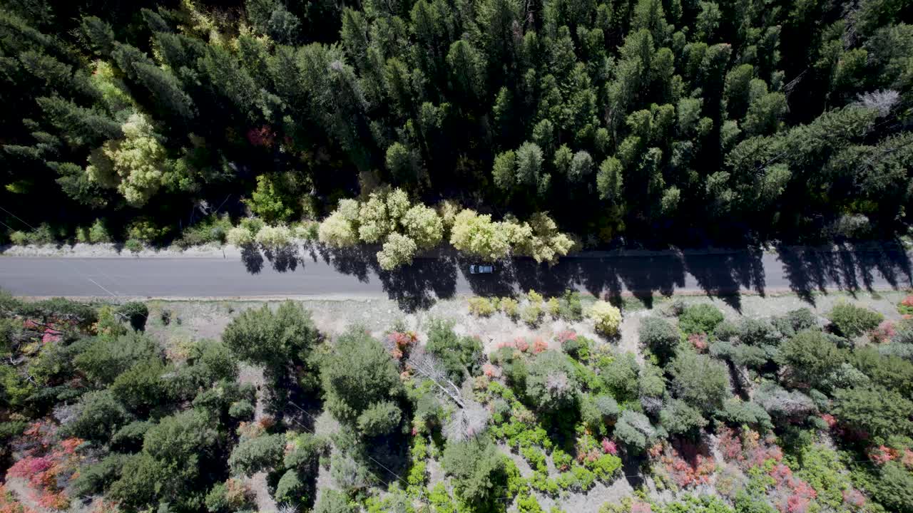 유타에서 미국 포크 캐년 도로를 따라 운전하는 고립된 자동차