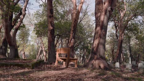 Banco-De-Madera-Solitario-En-Medio-De-Un-Cementerio-En-El-Bosque