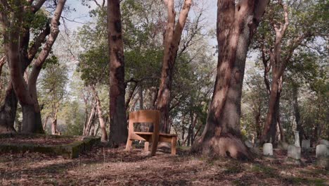 banco de madera solitario en medio de un cementerio en el bosque