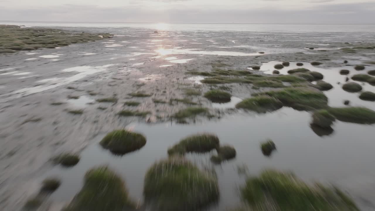 Fast low flight over tidal grasses towards bright tidal sands. Pilling Sands, Lancashire, UK.