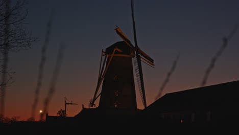 close focusrack from reeds to historical windmill in the background at magic hour