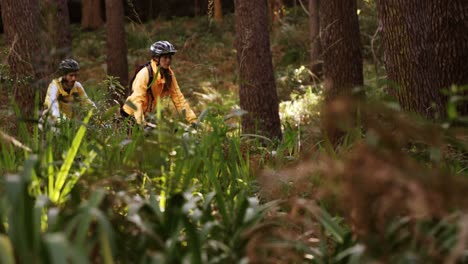 Mountain-biking-couple-riding-in-the-forest-on-a-sunny-day