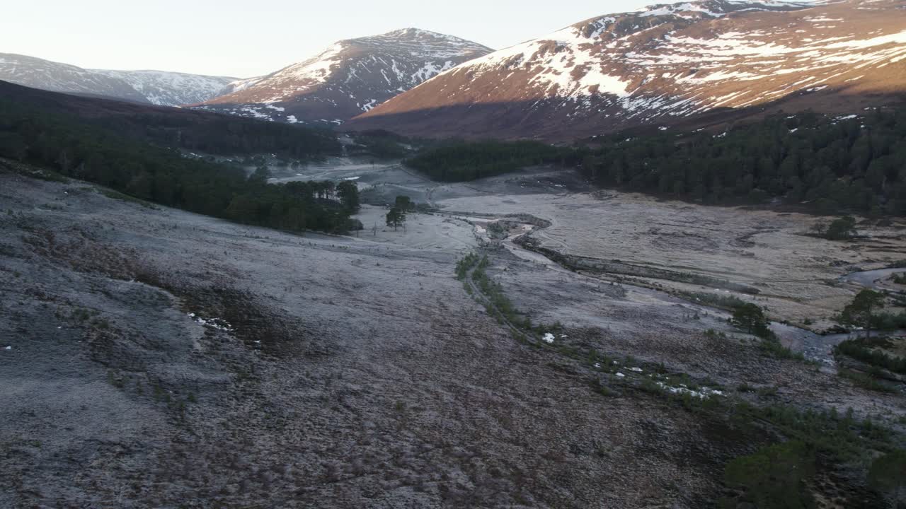 imágenes aéreas de drones que se elevan lentamente sobre un dosel de antiguos pinos caledonios, para revelar páramos helados, ríos y montañas nevadas