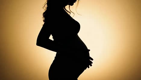 silhouette of a pregnant woman gently touching her belly, embodying love and anticipation for new life