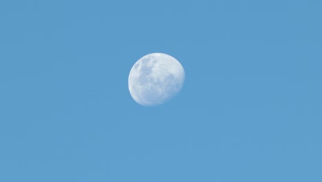 moon during day time clear blue sky australia, victoria, gippsland, maffra