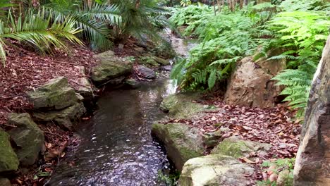 pequeño arroyo de agua dulce que fluye rápidamente
