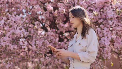 woman using smartphone in cherry blossom park