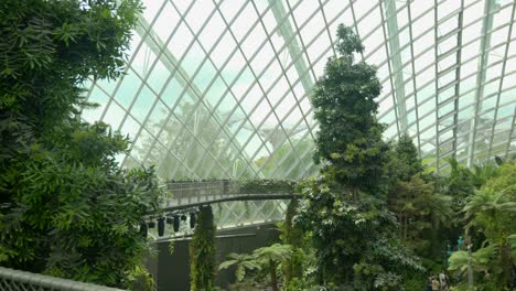 Platform-view-inside-Cloud-forest-Gardens-by-the-Bay-Singapore-panning