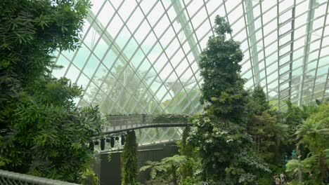 platform view inside cloud forest gardens by the bay singapore panning