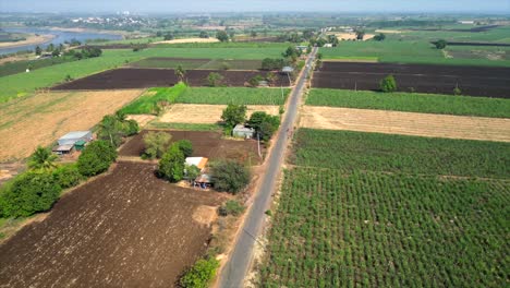 Grün-Ernte-Feld-Vogelperspektive