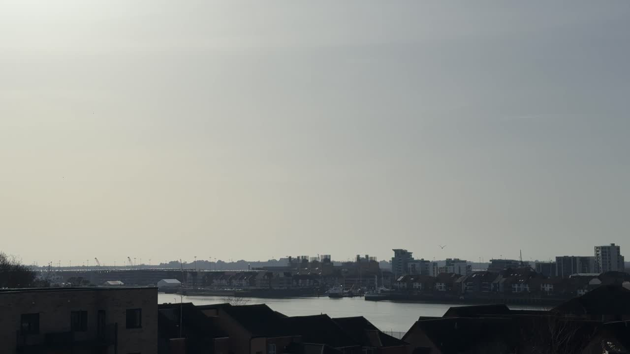 Gabbiano che vola sopra lo skyline di una città fluviale al tramonto