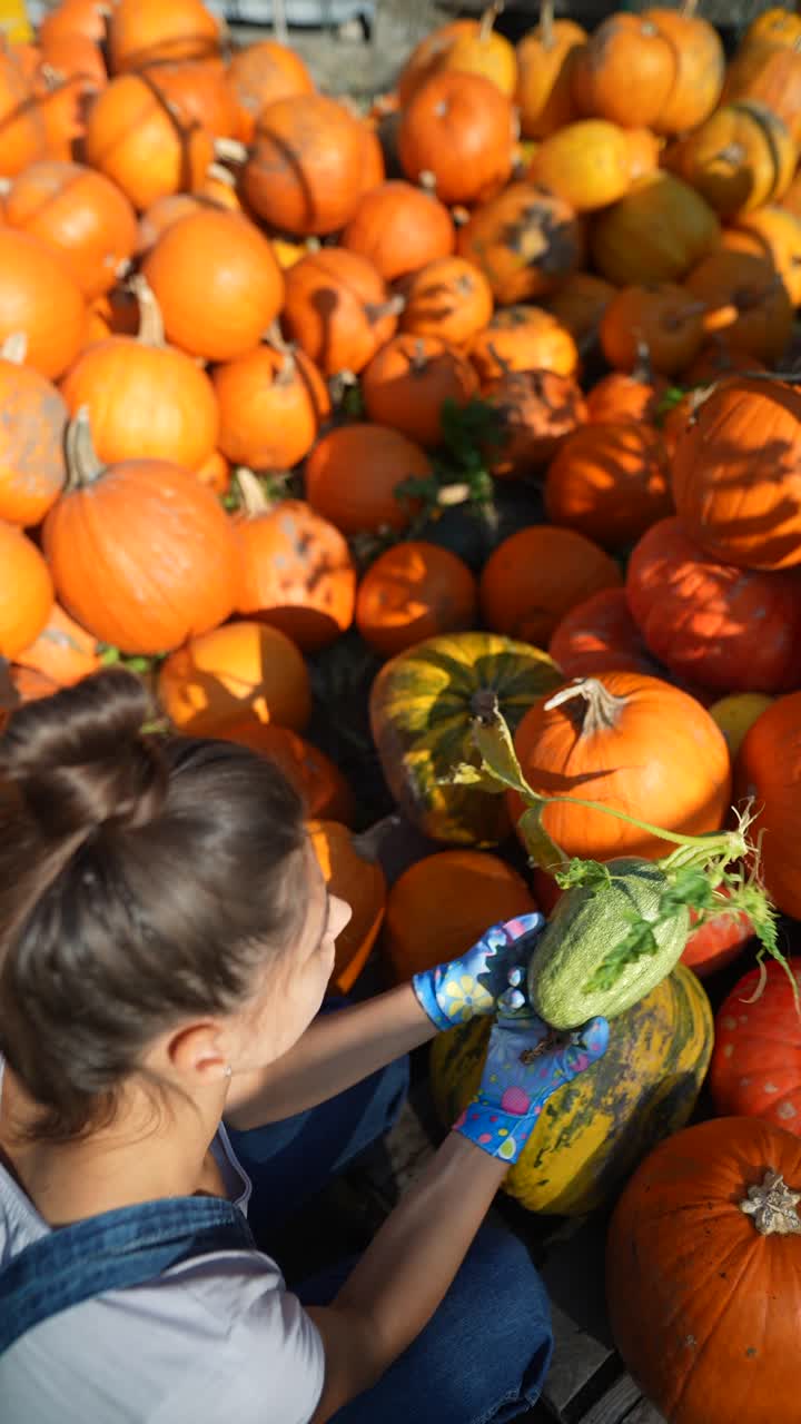 가을 수확 에서 호박 중 에서 작은 초록 호박 을 뽑는 여자