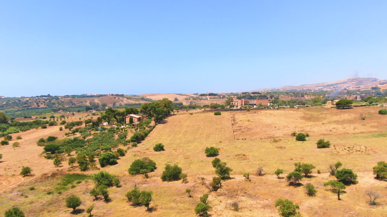 Veduta panoramica di un campo giallo con alberi bassi e una strada con auto di passaggio in una giornata di sole