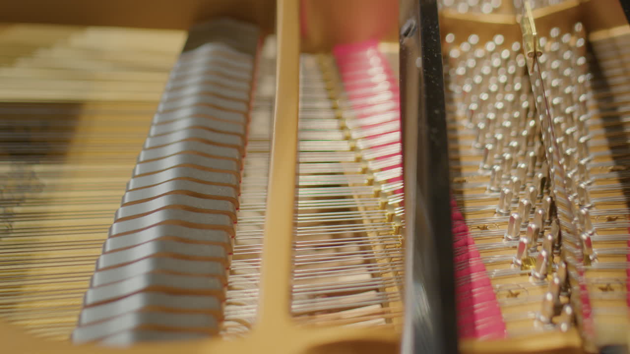 Parts Inside of Grand Piano