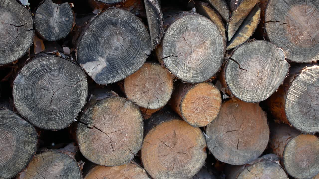 Chopped birch firewood. A pile of firewood. Woodchopping. Shredded and stacked wood
