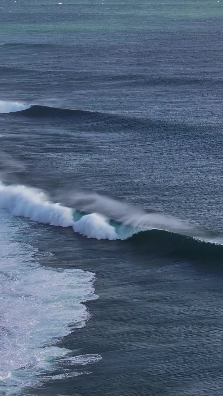 Dynamic ocean waves roll and crash along a vast coastline, capturing the energy of the sea. Perfect for projects focused on marine life or coastal environments.