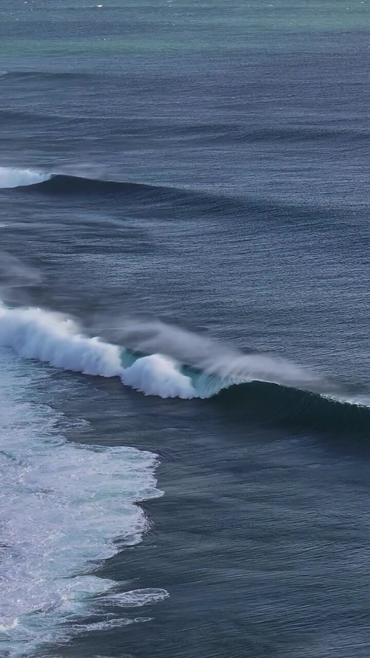 Dynamic ocean waves roll and crash along a vast coastline, capturing the energy of the sea. Perfect for projects focused on marine life or coastal environments.
