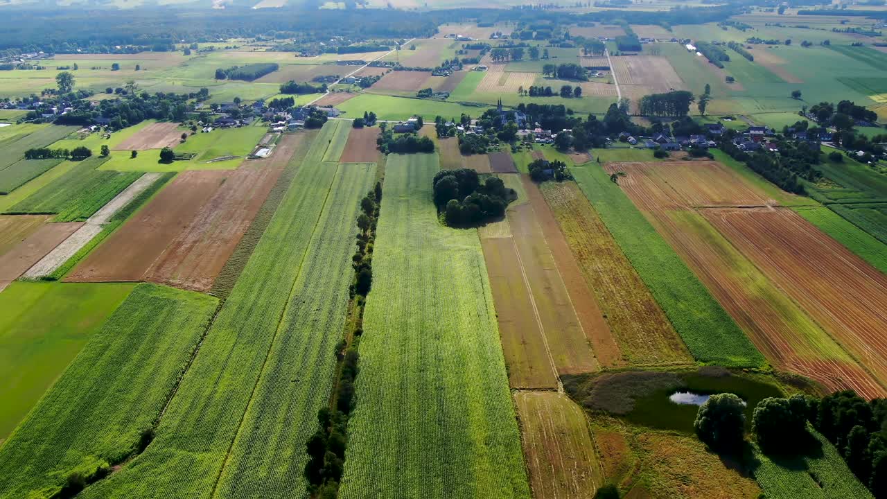 Bird's eye view of agricultural area and green wavy fields in sunny day