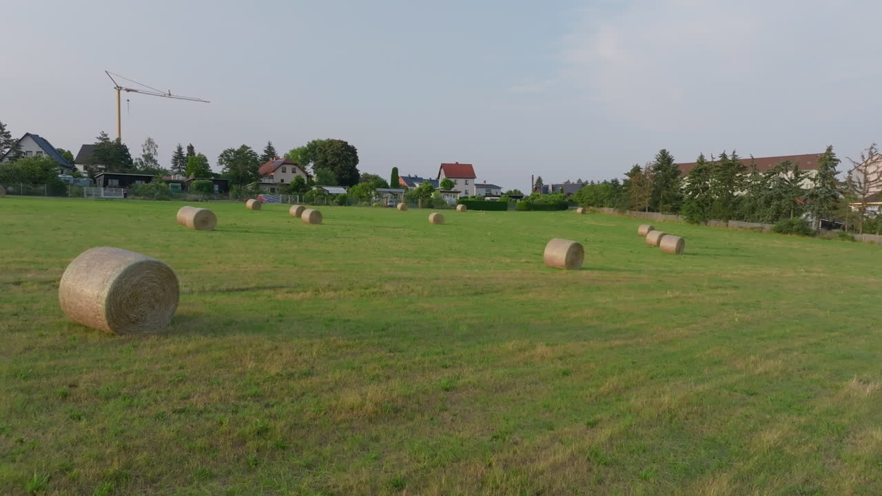 시골  에 있는 어리 들