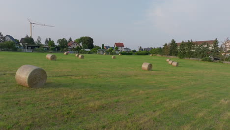 hay bales in a rural field