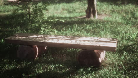 banco de madera en un parque
