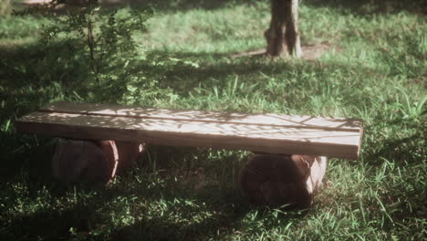 wooden bench in a park