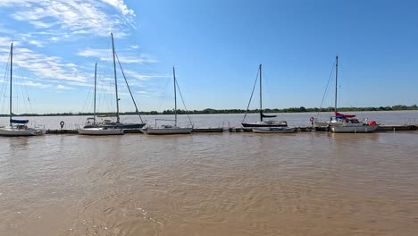 sailboats docked at a river marina