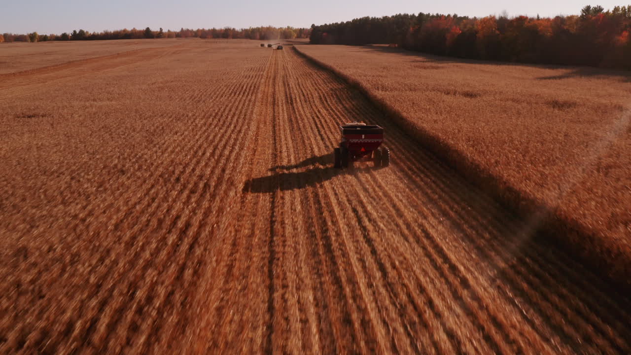 4K ilmakuvaa puimurin työskentelystä aputraktorien kanssa puimassa vehnää Quebecissä, Kanadassa.