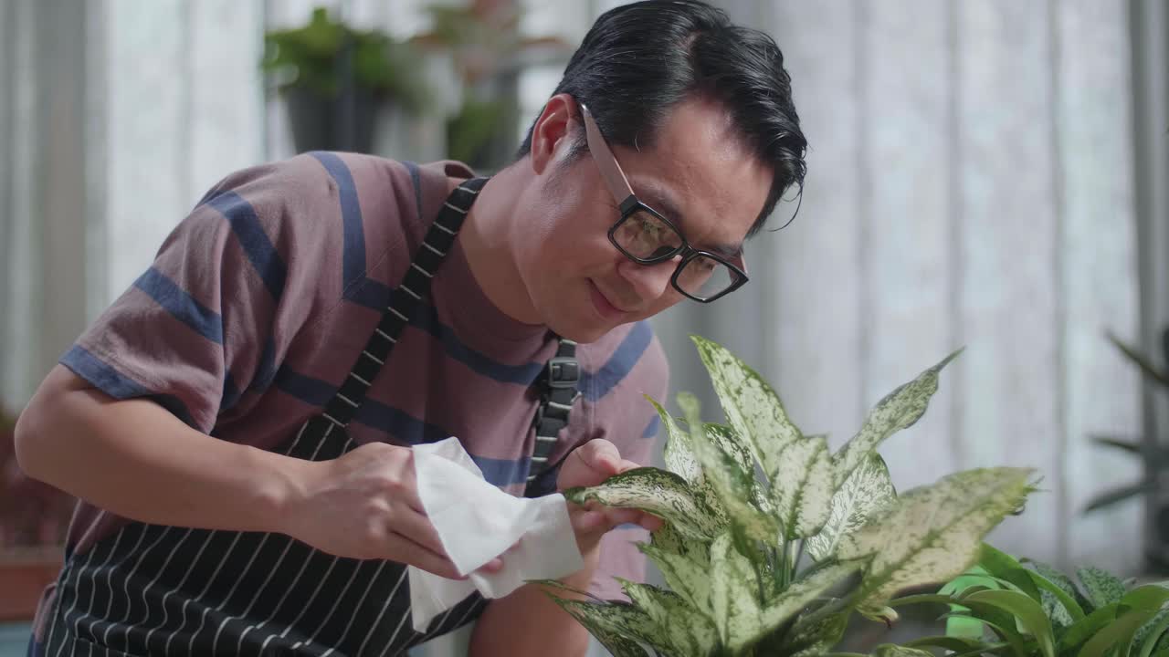 집에서 플랜트를 청소하는 아시아 남자의 클로즈업