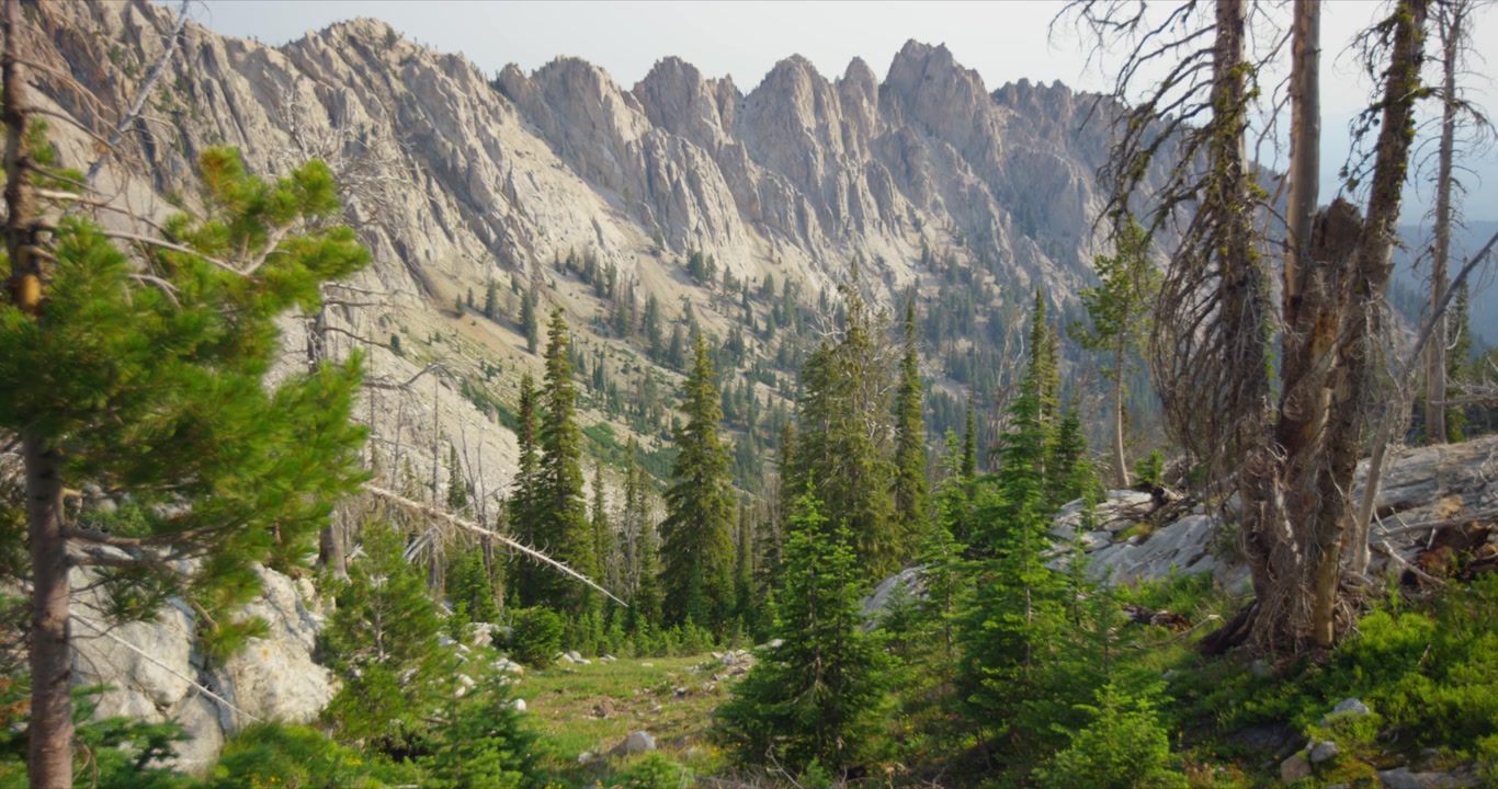Alpine forest and rocky terrain along trail near Sawtooth Lake Idaho mountain wilderness, establishing tilt up, nobody in backdrop