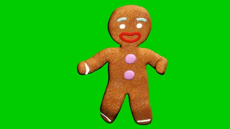 the gingerbread man is dancing a christmas dance. the concept of the celebration. looped animation in front of green screen.