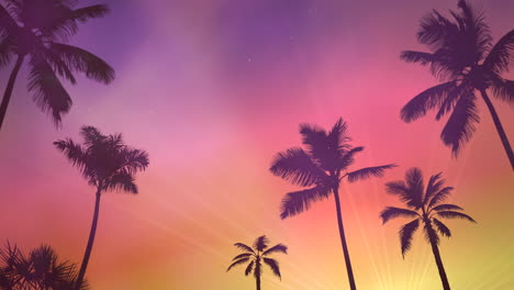 Panoramablick-Auf-Tropische-Landschaft-Mit-Palmen-Und-Sonnenuntergang