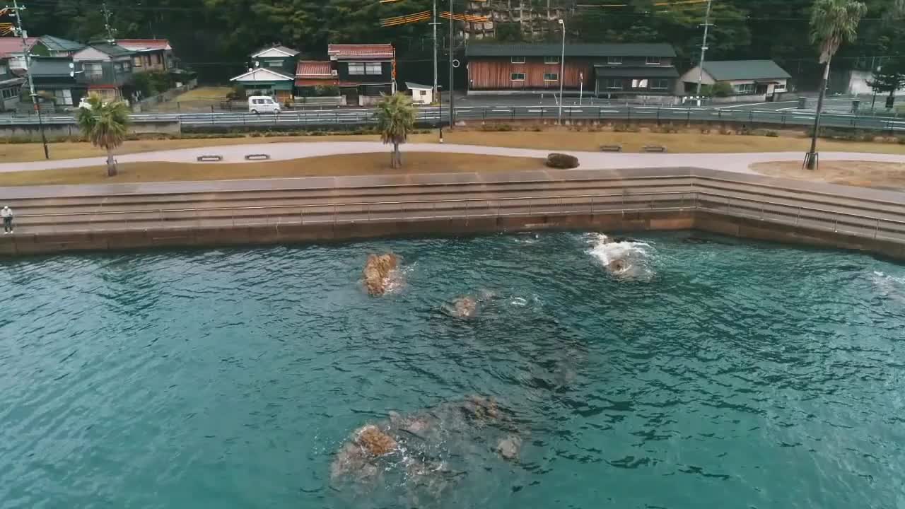 Coastal Scene with Buildings, Trees, and Rocks