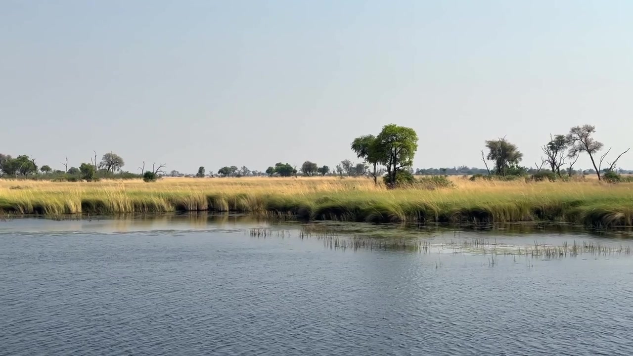 Marsh Landscape in Xakanaxa Lagoon in Moremi Game Reserve. Okavango Delta, Botswana.