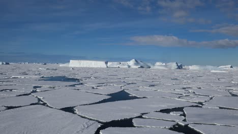 icebergs and sea ice in antarctica